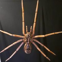5' Poseable Spider